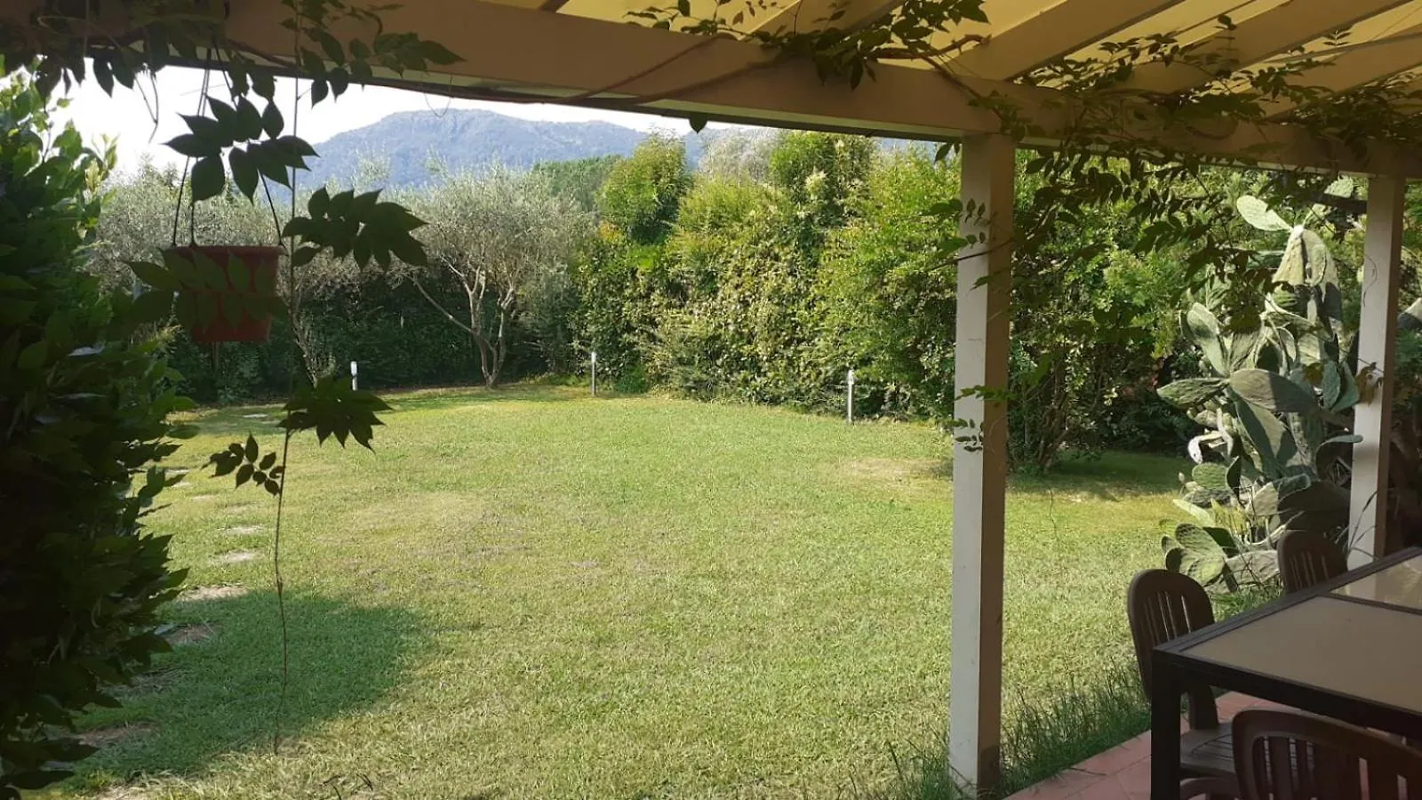 La Casa Delle Buone Letture Villa Lucca Holiday home